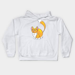 Ginger Cat Funny Character Primitive Style Cartoon Kids Hoodie